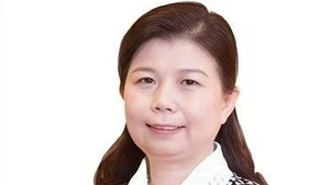 中国人民大学重阳金融研究院研究员刘英。