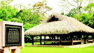 历届国会代表选举