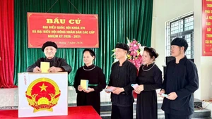 北江省安乐乡那奥村（Nà Ó）岱族同胞兴高采烈地参加投票。图片来源：越通社