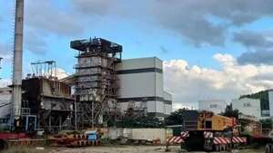 推动生物燃料的生产与使用