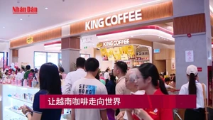 让越南咖啡走向世界【视频】