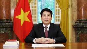 巩固越南与非洲友好国家的传统关系