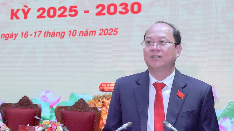 金瓯省委书记阮胡海在会上发表讲话。