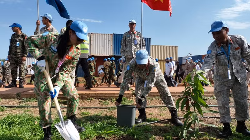 越南第3号工兵队在营区种植绿色植物。