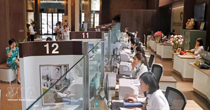 附图。（图片来源：越通社）