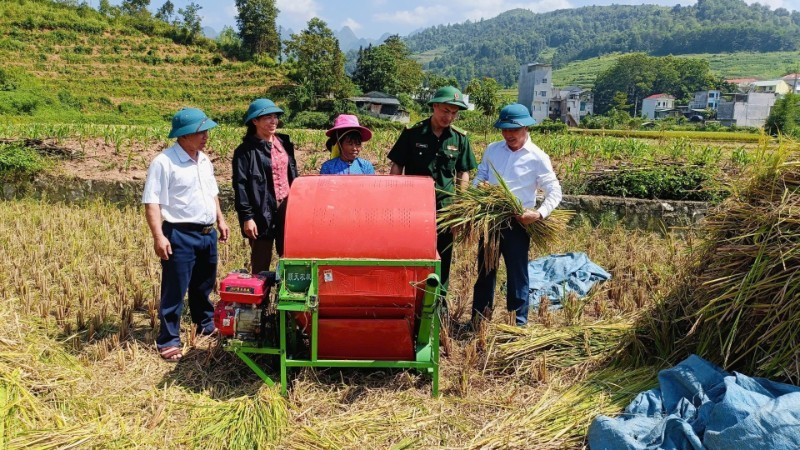 边防干部同宣光省各乡领导一道检查评估秋季水稻产量与收成情况。
