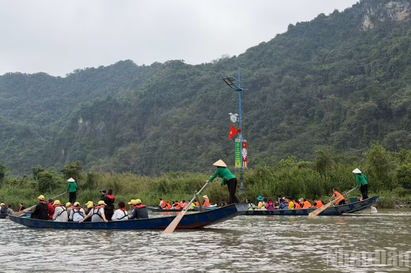 chuahuong2.jpg