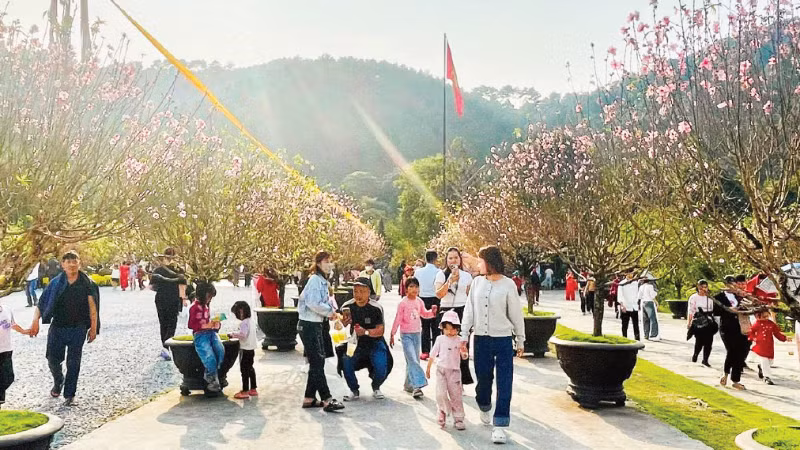 春节假期旅游客流的增长，为年初以来连续出现的积极信号再添动力。