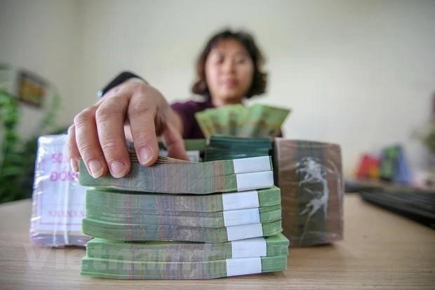 附图。（图片来源：越通社）