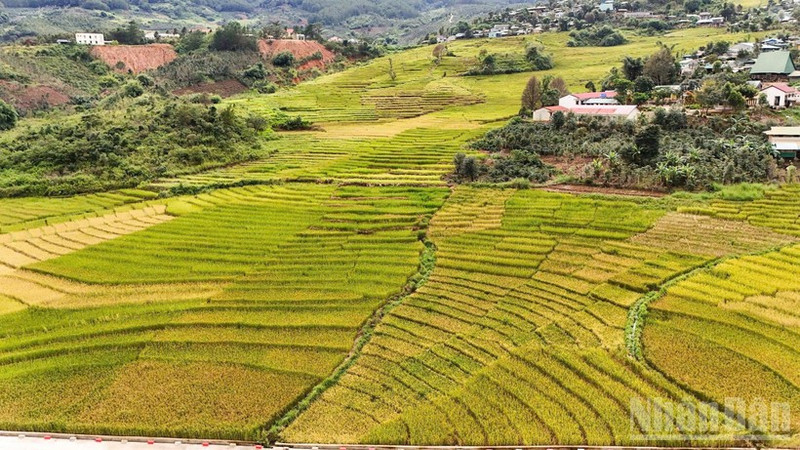 新广义省地域辽阔，从高山、边境到海岛，山海相连，风光壮丽，为将旅游业打造成为新阶段经济增长的重要动力奠定了坚实基础。