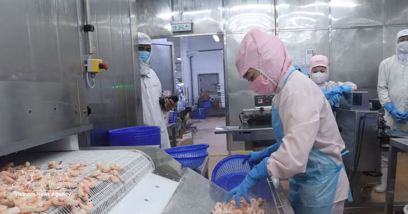 附图。（图片来源：越通社）