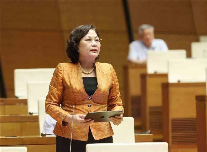 越南国家银行行长阮氏红。（图片来源：越通社）