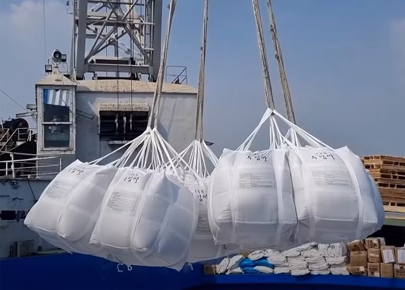 附图。（图片来源：越通社）