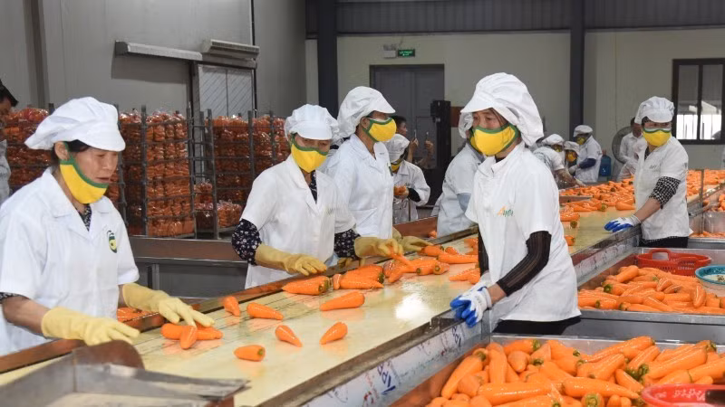 蔬果出口有望在2025年实现80亿美元的出口额。