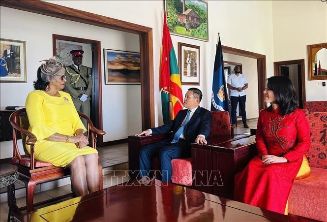 格林纳达总督塞茜尔·拉格雷纳德会见越南驻委内瑞拉兼驻格林纳达大使武中美。（图片来源：越通社）