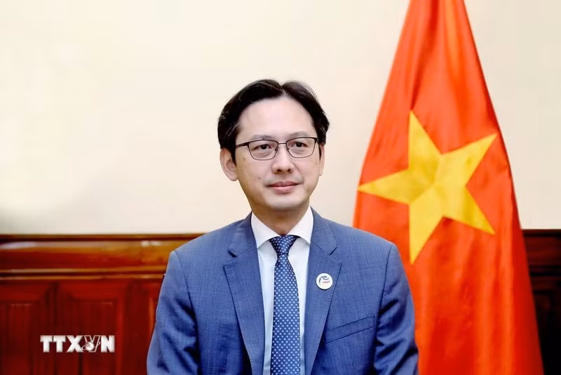 越南常驻联合国代表团团长杜雄越大使。（图片来源：越通社）