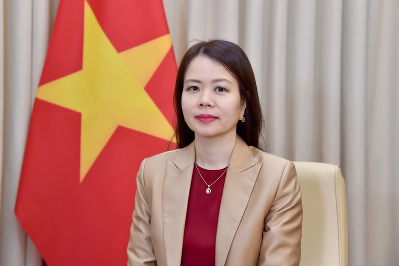 越南外交部副部长阮明姮。(图片来源:越通社)