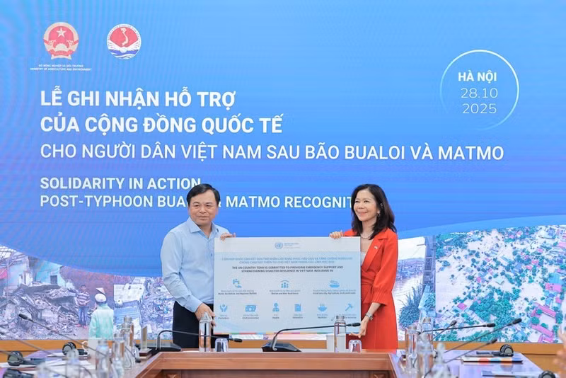 阮黄协副部长接受联合国的援助。（图片来源：越通社）