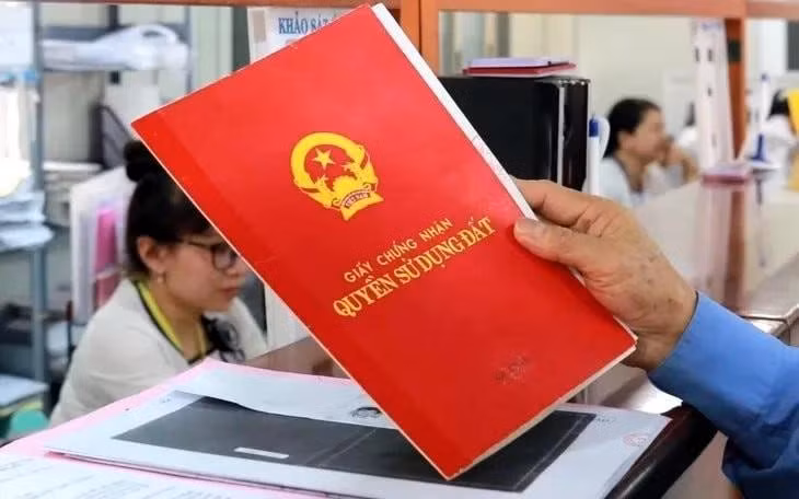 附图。（图片来源：越通社）