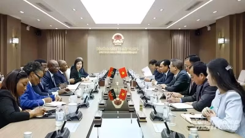 双方座谈会场面。