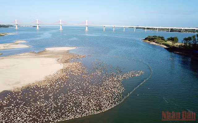 城市中心的“游牧”生活（组图） ảnh 9