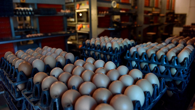 第四次工业革命时代的农场(组图) ảnh 4 第四次工业革命时代的农场(组图) ảnh 4