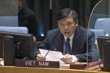 越南常驻联合国代表团团长邓廷贵大使。
