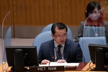 越南驻联合国代表团副团长范海英大使。（图片来源：越通社）