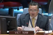 越南驻联合国代表团副团长范海英大使。（图片来源：越通社）