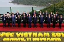 越南国家主席陈大光与APEC各成员经济体领导合影。