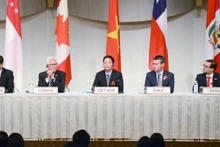 越南和各国代表与会。(图片来源:VOV)