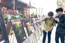 观众朋友前来观赏图片展。
