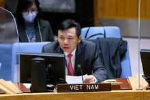 越南常驻联合国代表团团长邓廷贵大使。（图片来源：越通社）