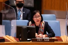 越南常驻联合国代表团副团长阮芳茶公使衔参赞。