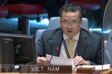 越南驻联合国临时代办范海英大使。（图片来源：越通社）