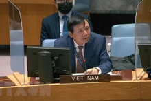 越南常驻联合国代表团团长邓廷贵大使。(图片来源:越通社)