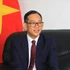 越南驻阿尔及利亚兼塞内加尔大使陈国庆。（图片来源：越通社）