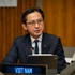 越南常驻联合国代表团团长、2026年《不扩散核武器条约》审议大会指定主席杜雄越大使。（图片来源：越通社）