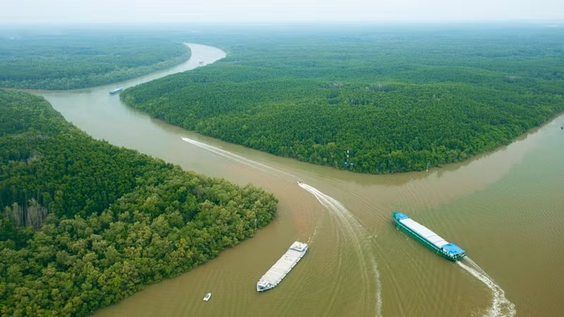 将芹耶打造成海洋旅游之地 。（图片来源：青年报）