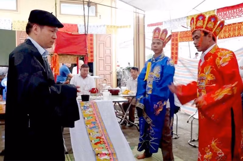 山由族的独特大番节。