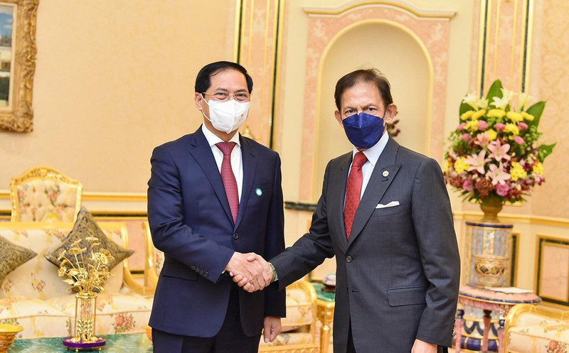 文莱达鲁萨兰国苏丹会见越南外长裴青山 。（图片来源：国际报）