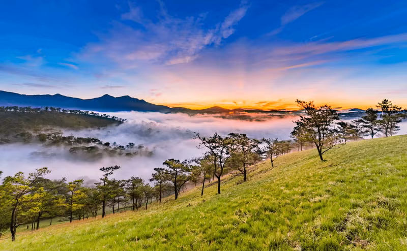 大叻是越南一个受欢迎的旅游目的地。