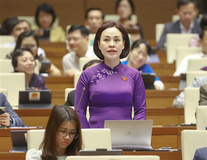 宁平省国会代表陈氏红青发表讲话。（图片来源：越通社）