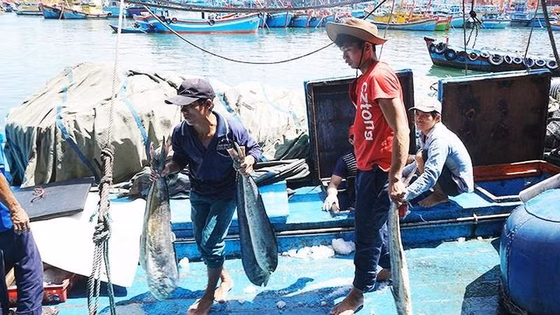 农林渔业同比增长3%。