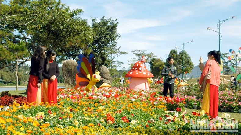 游客参观大叻。