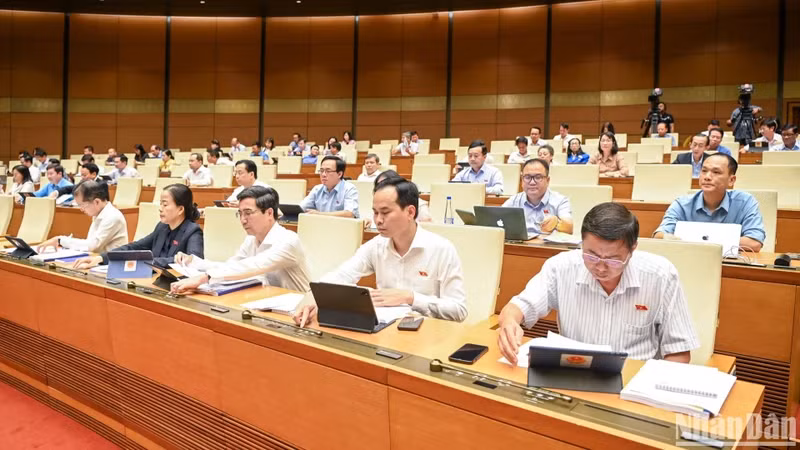 国会代表表决通过关于2025年中央预算安排计划的决议。