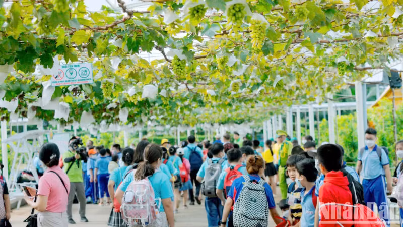 民众参观仙泉主题乐园。