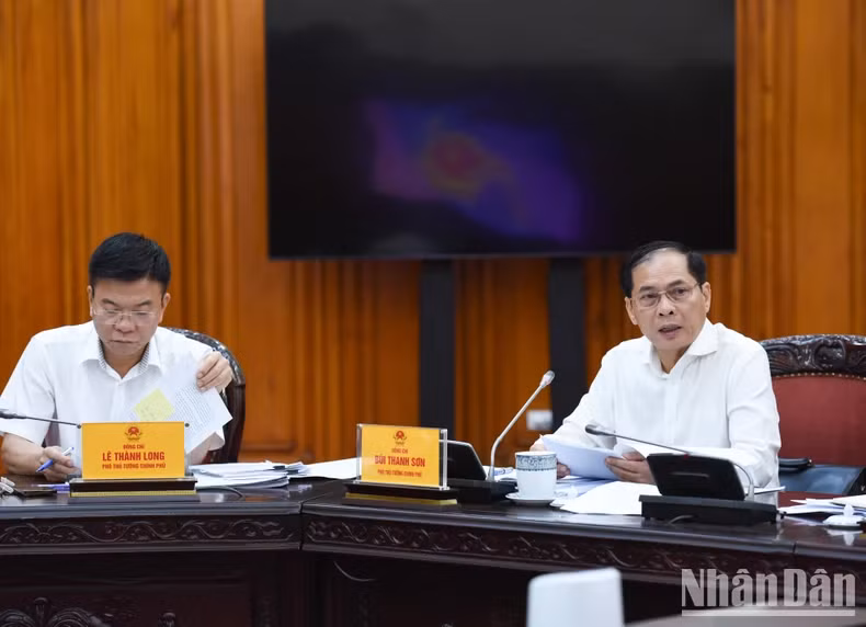 越南政府副总理、外交部长裴青山发表讲话。