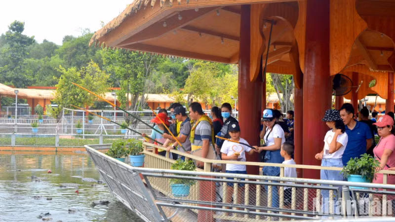 游客们享受鳄鱼王国的体验。