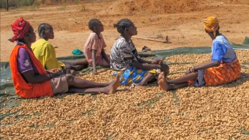 附图。（图片来源：新华社/越通社）